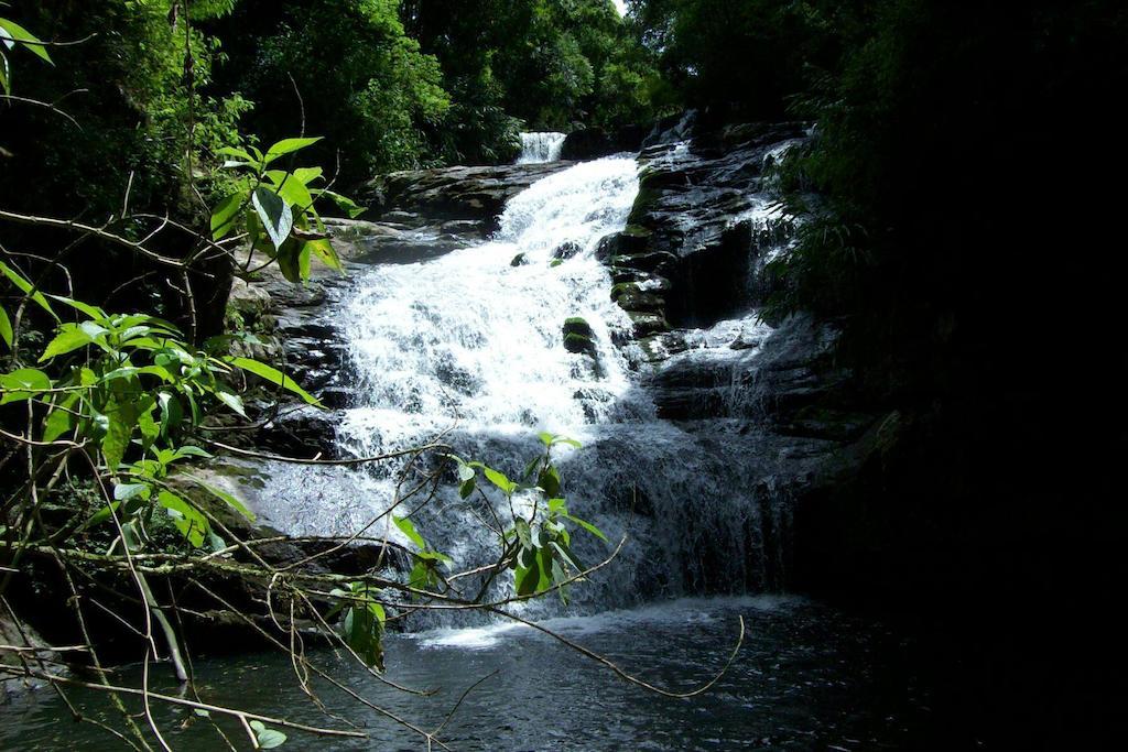 Hotel Terra Do Sempre - Reserva Ambiental São Francisco de Paula Exterior foto